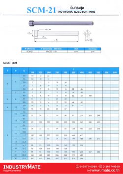 เข็มกระทุ้ง เกรด SCM-21 Code: ECM